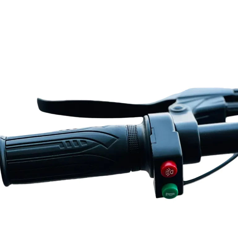New City Electric Bicycle with Removable Battery | 36V 10Ah | 250W Motor